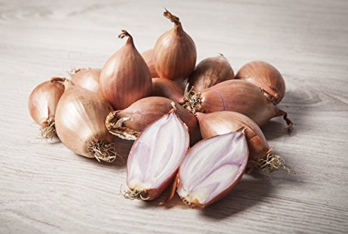 2 kg. Cebolla Èchalotte / Chalote - Selección Gourmet