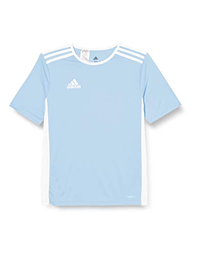 adidas Entrada 18 JSY T-Shirt, Hombre, Clear Blue/White, S