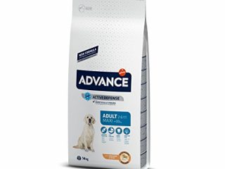 Advance Maxi Adult de Pollo y Arroz 14Kg