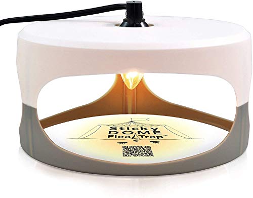 ASPECTEK Trampa Sticky Dome para pulgas y para chinches con Dos Discos Adhesivos incluidos. Inodoro, no venenoso. Seguro para niños y Mascotas.(Enchufe de La UE)