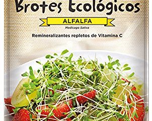 BROTES ALFALFA - ECO