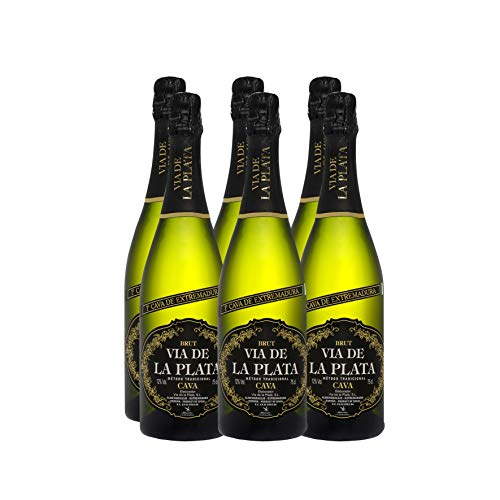 CAJA 6 UN. CAVA BRUT COUPAGE VIA DE LA PLATA