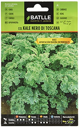 Col KALE Nero di Toscana