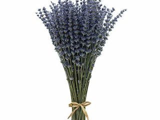 CoolCrafts Ramos de Lavanda Seca, 100 Ramitas de Lavanda Seca Natural, Flores Secas Decoración del Hogar Ramos de Boda