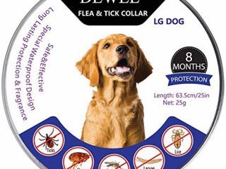 DEWEL Collar Antiparasitos Perro/Gato contra Pulgas,Garrapatas y Mosquitos,Tamaño Ajustable e Impermeable para Mascota Pequeño Mediano Grandes