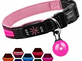 ETACCU Collar de Perro LED, Collar de Perros Ajustable con 3 Modos y 7 Colores, Collar Luminoso Impermeable Recargable por USB, Collares Básicos para Mascotas (Mediano (40-55cm), Rosa)