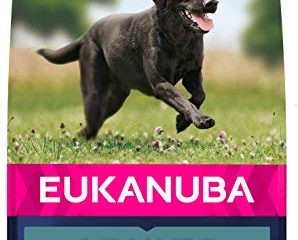 Eukanuba Alimento seco para perros adultos activos de raza grande, rico en pollo fresco 15 kg