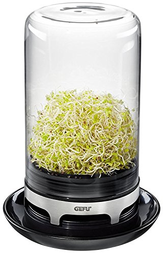 Gefu ge18910 bivita – Germinador de Semillas Cristal Transparente 13 x 13 x 18,8 cm