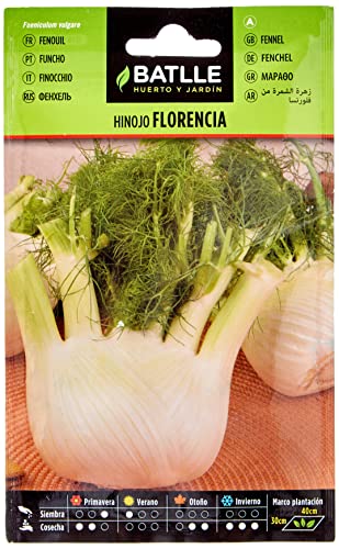 Hinojo de Florencia
