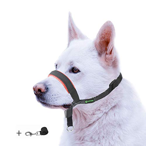 ILEPARK Correa de Adiestramiento para Perros de Piel Acolchado - Confortable al Tacto, el Collar para Perros Frena los Tirones y Deja de Tirar, Ajustable, Herramienta de Entrenamiento (L,Rojo)
