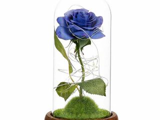 Konesky Rose in Glass, Eternal Rose in Glass La Bella y la Bestia LED Flores de Rosas Artificiales Rosa preservada Luces de Hadas LED Regalo romántico Aniversario Decoración de la casa-Azul