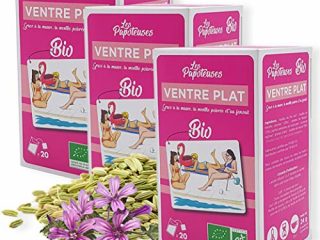 LES PAPOTEUSES | Infusion vientre plano con la malva, la menta y el hinojo | 60 bolsitas | Caja de 3 confecciones de 20 bolsitas | Certificado orgánico | Relajante para el abdomen mujer y hombre