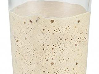 Levadura fresca biológica - Masa madre de harina de centeno Demeter - Levadura vegana - Contenido: 300 gramos