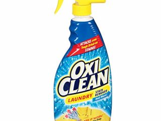 oxiclean lavandería Quitamanchas Spray, 21.5 g 51693, Pack De 1, 1