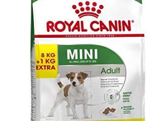 Royal Canin Comida para Perros Mini Adult, 8 + 1 kg Gratis, 1 Unidad (1 x 9 kg)