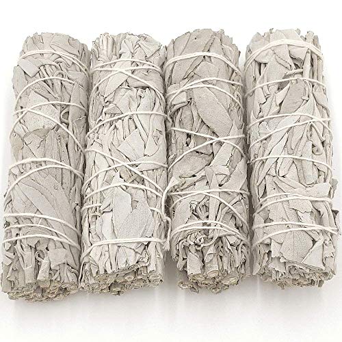Salvia Blanca Pack 4 Unidades