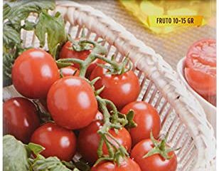 Tomate Mini Bell (Tipo Cherry)