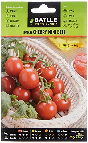 Tomate Mini Bell (Tipo Cherry)