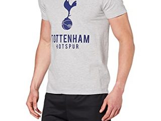 Tottenham Hotspur - Camiseta para hombre, Hombre, Camiseta, SR6124A, Gris claro, M