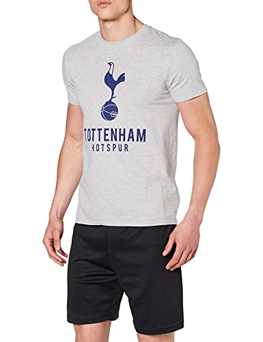 Tottenham Hotspur - Camiseta para hombre, Hombre, Camiseta, SR6124A, Gris claro, M