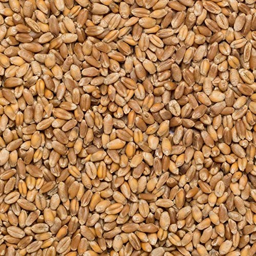 Trigo en grano Ecológico a granel - 500