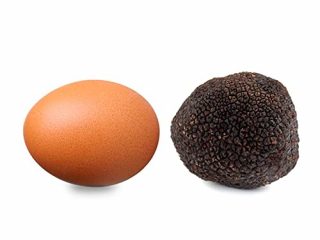 TRUFA NEGRA - TRUFA NEGRA DE TERUEL - TUBER MELANOSPORUM - COMPRAR TRUFA NEGRA - (70g) | Degusta Teruel