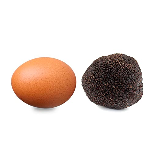 TRUFA NEGRA - TRUFA NEGRA DE TERUEL - TUBER MELANOSPORUM - COMPRAR TRUFA NEGRA - (70g) | Degusta Teruel