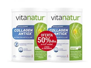 Vitanatur - Collagen Antiox, Complemento Alimenticio con ingredientes que poseen Acción Antioxidante y adecuados para la Nutrición Articular, Sabor Frutos Rojos - Pack 2 Botes x 360 g