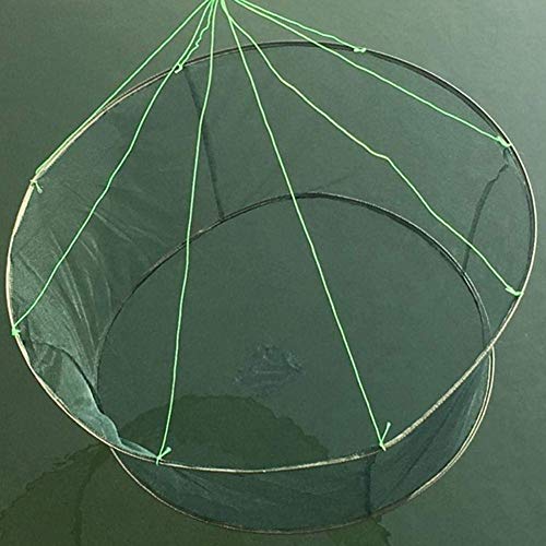 Zoloyo Plegable Drop Red, Resistente y Duradero Muelle Harbour Estanque Malla Pesca Recogida Gambas Cebo Cangrejo Langostino con un Producto Mathews un Sorprendente Precio - 80cm