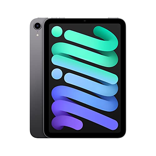 2021 Apple iPad mini (de 8,3 pulgadas con Wi-Fi, 64 GB) - Gris espacial (6.ª generación)
