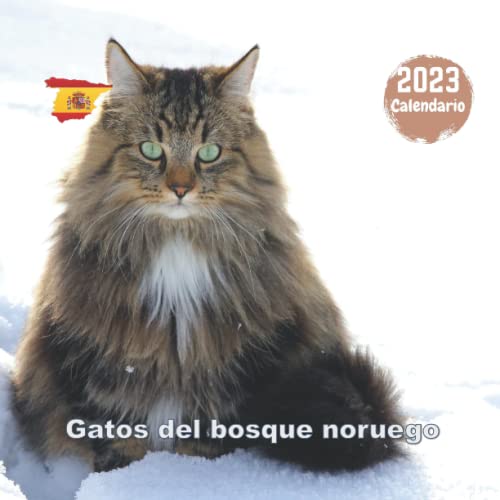 2023 Calendario Gatos del bosque noruego: 12 Meses, Tamaño 21,5x21,5 cm, con festivos en españa, ideas de regalo de aniversario para hombre, mujer, madre, padre.