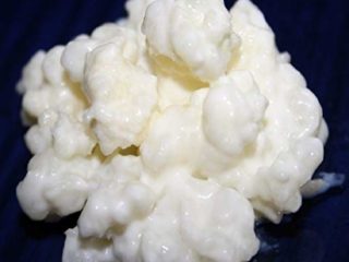 40g de Hongo / Nódulos de Kéfir de Leche + Instrucciones + Recetas + Ayuda y asesoramiento en español - KEFIRALIA®