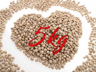 5 kg de huesos de cereza sueltos para relleno de cojín de calor para terapia, terapia, natural, cuidadoso y sin productos químicos