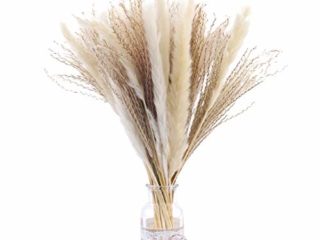 50 Pampas Secas Naturales Blancas De 40 Cm, Decoración Para El Hogar, Flores Secas Naturales De Fragmitas Para Jarrones, Ramo De Flores Blancas Fragmitas Para Decoración De Bodas Y Fiestas