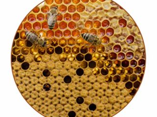 6 piezas durables posavasos patrón de moda posavasos con base de cuero de microfibra para tazas de vidrio taza de café vista superior panal con abejas amarillo