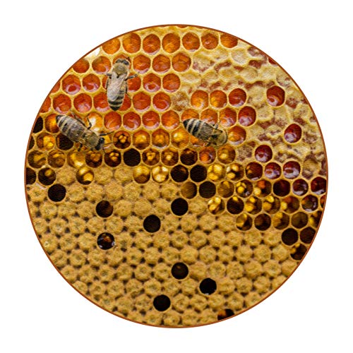 6 piezas durables posavasos patrón de moda posavasos con base de cuero de microfibra para tazas de vidrio taza de café vista superior panal con abejas amarillo