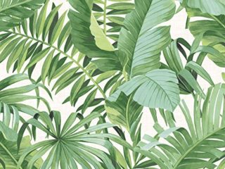 A-Street Prints Papel pintado de color verde 2744-24136