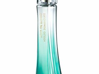 Adolfo Dominguez Agua De Bambú Woman Edt Vapo 100 Ml Agua De Bambú Woman Edt Vapo 100 Ml 1 unidad 100 ml