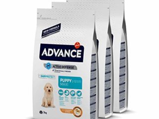 ADVANCE Puppy Maxi - Pienso Para Cachorros De Razas Grandes Con Pollo - Pack De 3 x 3 kg - Total 9 kg