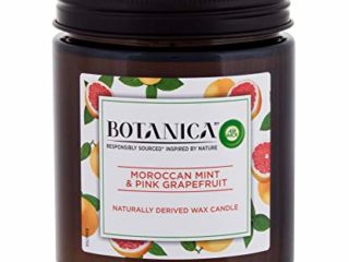 Air Wick S0578876 Vela Perfumada Botanica Menta Pomelo, 205 g