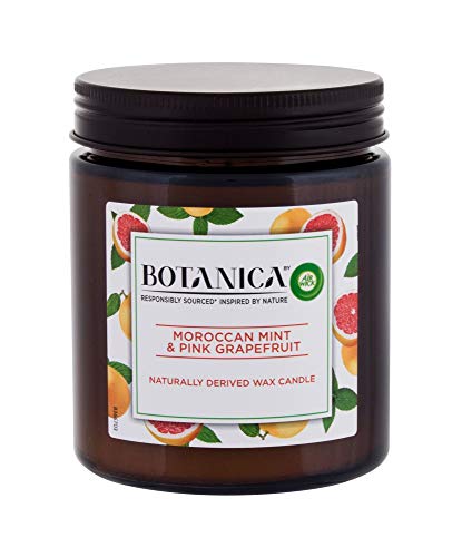Air Wick S0578876 Vela Perfumada Botanica Menta Pomelo, 205 g