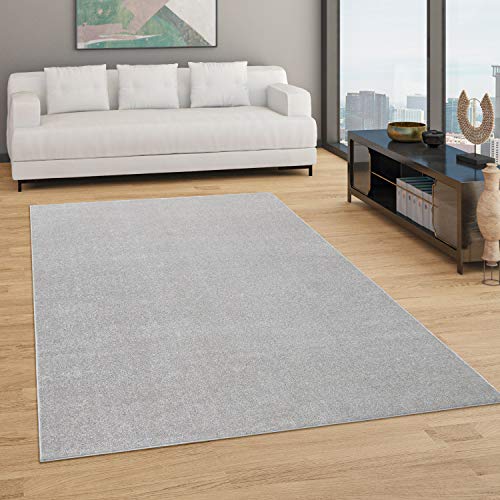 Alfombra Salón Color Liso Discreta Moderna Pelo Corto Tamaños, tamaño:160x220 cm, Color:Plata