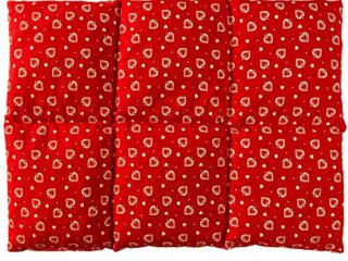 Almohada térmica - Bolsa de semillas para la espalda (calor y frio) - (40x30cm rojo con corazones con 6 compartimientos, semillas de colza)