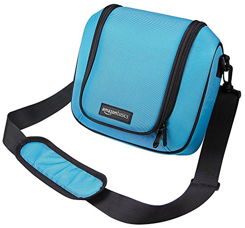 Amazon Basics - Bolsa de viaje para la Nintendo 2DS XL - Turquesa