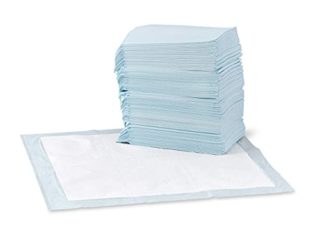 Amazon Basics - Toallitas de entrenamiento para mascotas (tamaño regular, 100 unidades)
