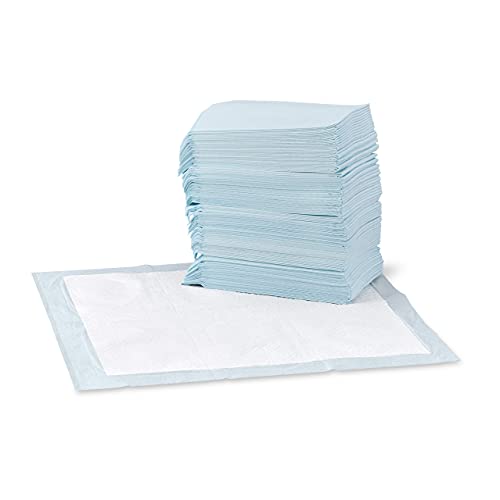 Amazon Basics - Toallitas de entrenamiento para mascotas (tamaño regular, 100 unidades)