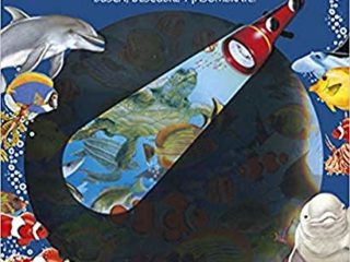 Animales Del Mar (Libro linterna)