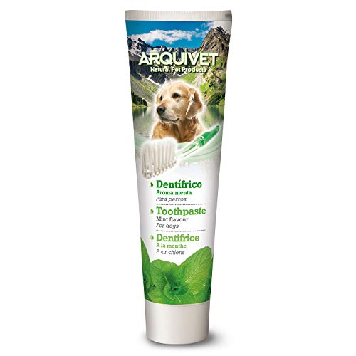 Arquivet Dentrífico para Perros - Sabor a Menta - Pasta de Dientes para Perros - Higiene Dental para Perros - Previene la Placa y sarro - Crema Dental para Perros - 100 g