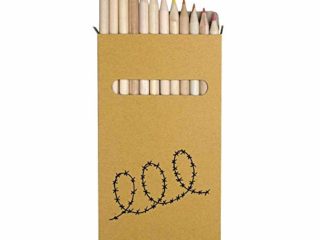 Azeeda 12 x 'Alambre de Espino' Lápices de Colores Largos de 178 mm (PE00022520)