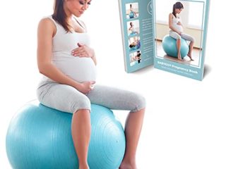 BABYGO Pelota de Pilates Embarazadas, Fitball, Ejercicio, Balón de Gimnasia Anti-Burst 1000 KG para Parto y Embarazo,Yoga, Fitness Bola con Bomba + Gratis Manual de Ejercicios 65cm